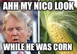 Who Wore It Better | AHH MY NICO LOOK; WHILE HE WAS CORN | image tagged in who wore it better | made w/ Imgflip meme maker
