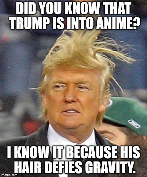 Donald Trumph hair | DID YOU KNOW THAT TRUMP IS INTO ANIME? I KNOW IT BECAUSE HIS HAIR DEFIES GRAVITY. | image tagged in donald trumph hair,memes,funny,anime,dragon ball,goku | made w/ Imgflip meme maker