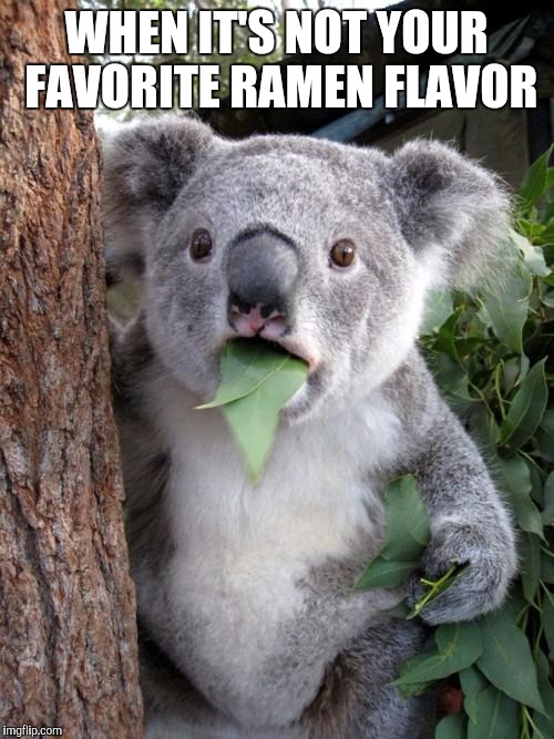 Surprised Koala | WHEN IT'S NOT YOUR FAVORITE RAMEN FLAVOR | image tagged in memes,surprised koala | made w/ Imgflip meme maker