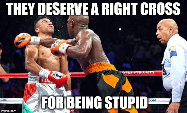 boxing | THEY DESERVE A RIGHT CROSS; FOR BEING STUPID | image tagged in boxing | made w/ Imgflip meme maker