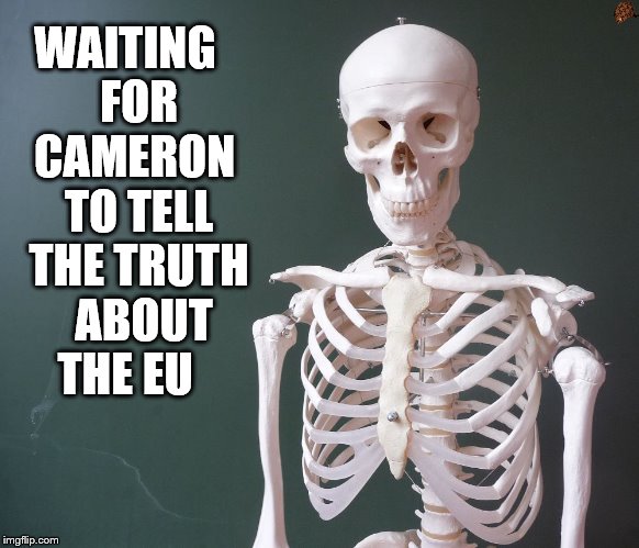 The Long Wait | WAITING 

FOR 
CAMERON 

TO TELL 

THE TRUTH 


ABOUT THE EU | image tagged in david cameron | made w/ Imgflip meme maker