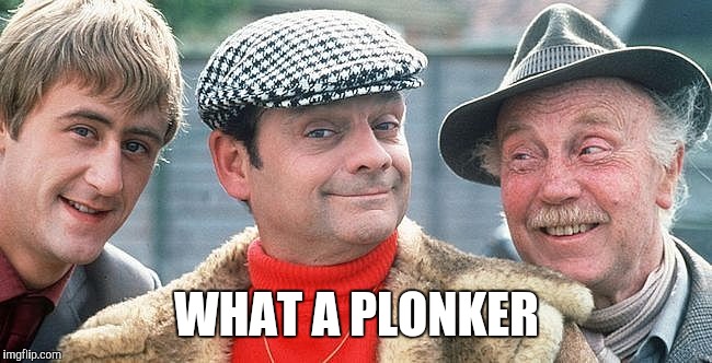 Fools and horses  | WHAT A PLONKER | image tagged in funny,only fools and horses,rodney | made w/ Imgflip meme maker