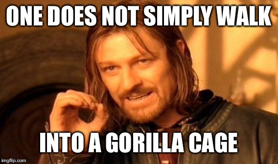 One Does Not Simply | ONE DOES NOT SIMPLY WALK; INTO A GORILLA CAGE | image tagged in memes,one does not simply | made w/ Imgflip meme maker