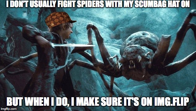 Hobbit Spiders | I DON'T USUALLY FIGHT SPIDERS WITH MY SCUMBAG HAT ON; BUT WHEN I DO, I MAKE SURE IT'S ON IMG.FLIP | image tagged in hobbit spiders,scumbag | made w/ Imgflip meme maker