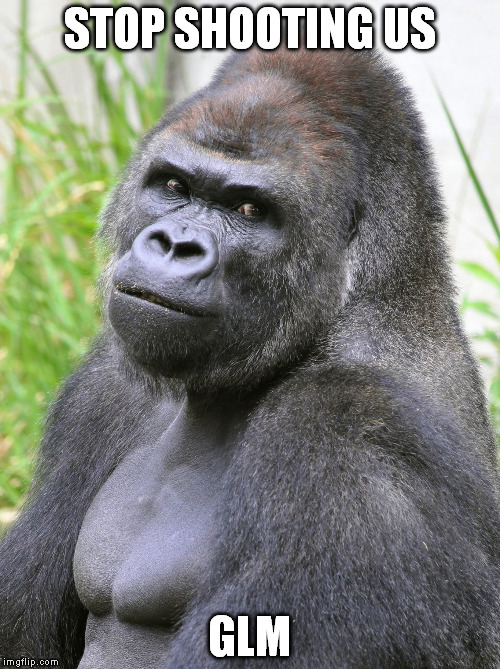 Hot Gorilla  | STOP SHOOTING US; GLM | image tagged in hot gorilla | made w/ Imgflip meme maker