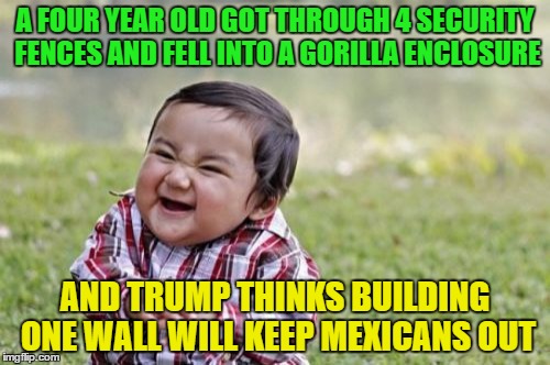 Evil Toddler | A FOUR YEAR OLD GOT THROUGH 4 SECURITY FENCES AND FELL INTO A GORILLA ENCLOSURE; AND TRUMP THINKS BUILDING ONE WALL WILL KEEP MEXICANS OUT | image tagged in memes,evil toddler | made w/ Imgflip meme maker