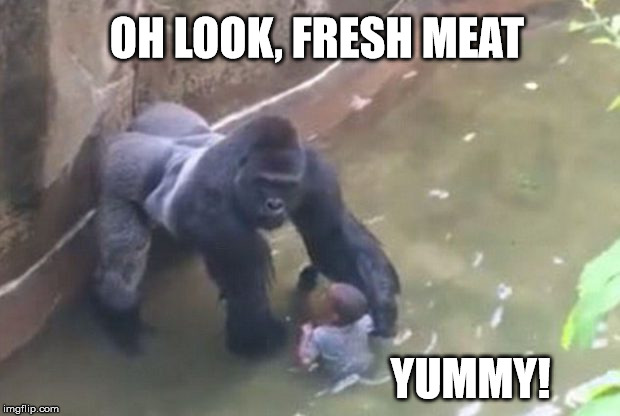 Fresh Meat, Yummy! | OH LOOK, FRESH MEAT; YUMMY! | image tagged in yummy,monkey,poor kid | made w/ Imgflip meme maker