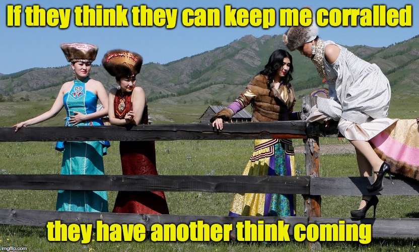Interesting concept for livestock | If they think they can keep me corralled; they have another think coming | image tagged in fence,corrall,girls | made w/ Imgflip meme maker