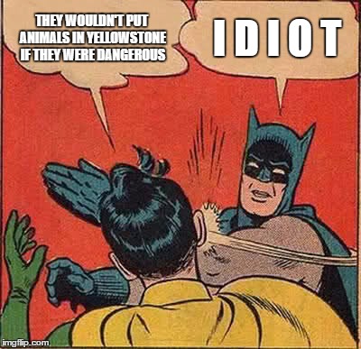 Batman Slapping Robin Meme | THEY WOULDN'T PUT ANIMALS IN YELLOWSTONE IF THEY WERE DANGEROUS; I D I O T | image tagged in memes,batman slapping robin | made w/ Imgflip meme maker