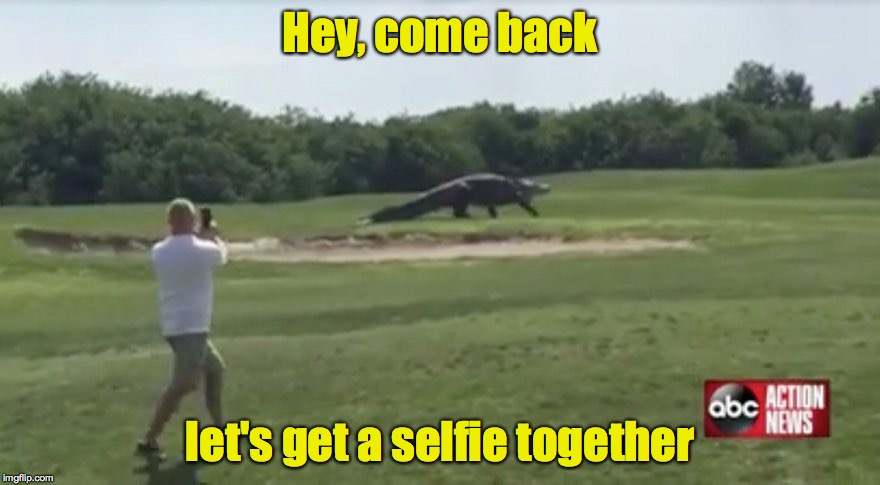 Man's name withheld pending notification of next of kin | Hey, come back; let's get a selfie together | image tagged in aligator,golf course,man with camera | made w/ Imgflip meme maker