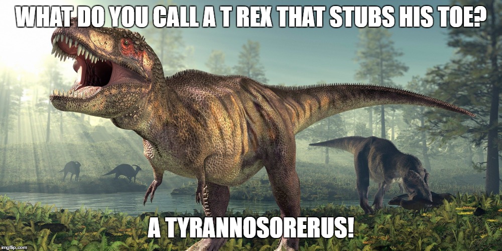 Tyrannosaurus Rex | WHAT DO YOU CALL A T REX THAT STUBS HIS TOE? A TYRANNOSORERUS! | image tagged in dinosaur,meme,funny | made w/ Imgflip meme maker