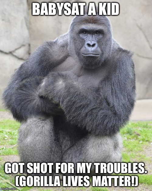 Harambe | BABYSAT A KID; GOT SHOT FOR MY TROUBLES. (GORILLA LIVES MATTER!) | image tagged in harambe | made w/ Imgflip meme maker