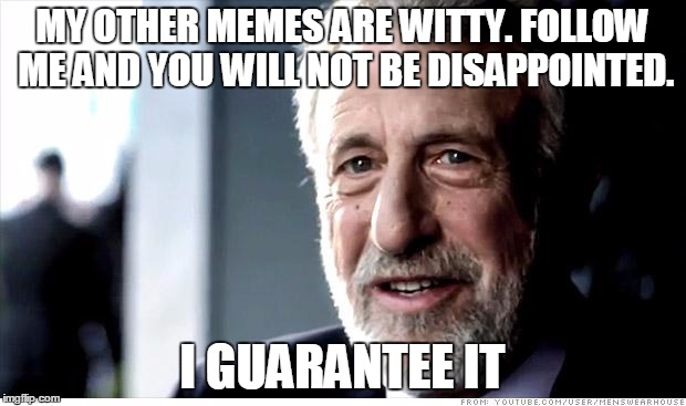 I Guarantee It | MY OTHER MEMES ARE WITTY. FOLLOW ME AND YOU WILL NOT BE DISAPPOINTED. I GUARANTEE IT | image tagged in memes,i guarantee it | made w/ Imgflip meme maker