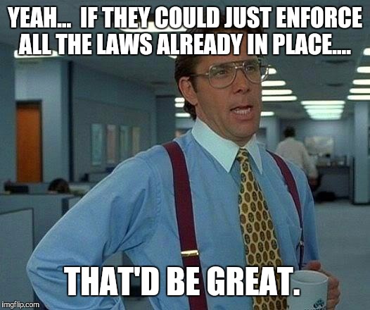 That Would Be Great Meme | YEAH...  IF THEY COULD JUST ENFORCE ALL THE LAWS ALREADY IN PLACE.... THAT'D BE GREAT. | image tagged in memes,that would be great | made w/ Imgflip meme maker