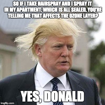 Donald Trump | SO IF I TAKE HAIRSPRAY AND I SPRAY IT IN MY APARTMENT, WHICH IS ALL SEALED, YOU’RE TELLING ME THAT AFFECTS THE OZONE LAYER? YES, DONALD | image tagged in donald trump | made w/ Imgflip meme maker