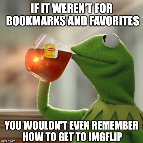 But That's None Of My Business Meme | IF IT WEREN'T FOR BOOKMARKS AND FAVORITES YOU WOULDN'T EVEN REMEMBER HOW TO GET TO IMGFLIP | image tagged in memes,but thats none of my business,kermit the frog | made w/ Imgflip meme maker
