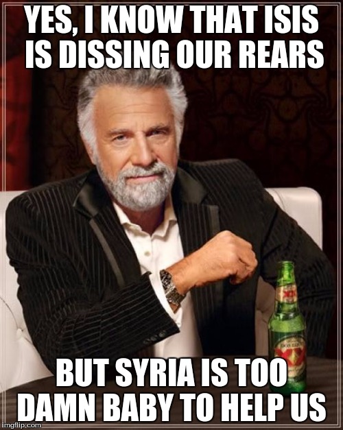 The Most Interesting Man In The World | YES, I KNOW THAT ISIS IS DISSING OUR REARS; BUT SYRIA IS TOO DAMN BABY TO HELP US | image tagged in memes,the most interesting man in the world | made w/ Imgflip meme maker