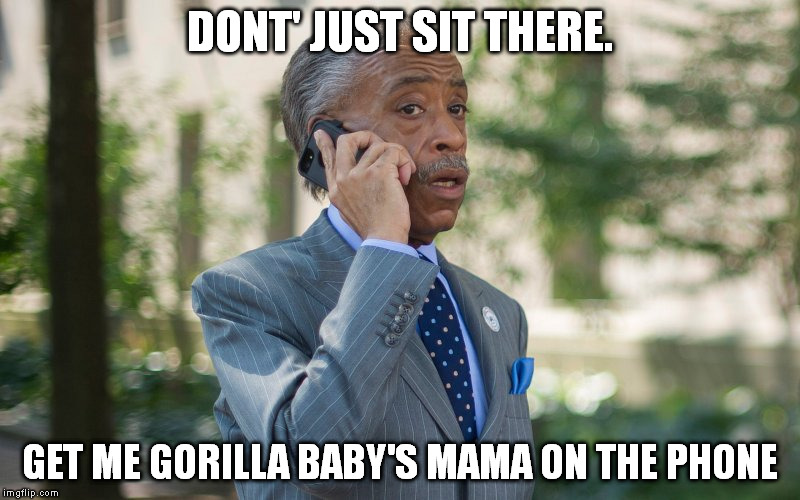 Al Sharpton | DONT' JUST SIT THERE. GET ME GORILLA BABY'S MAMA ON THE PHONE | image tagged in al sharpton | made w/ Imgflip meme maker