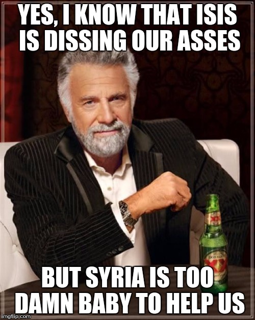 The Most Interesting Man In The World | YES, I KNOW THAT ISIS IS DISSING OUR ASSES; BUT SYRIA IS TOO DAMN BABY TO HELP US | image tagged in memes,the most interesting man in the world | made w/ Imgflip meme maker