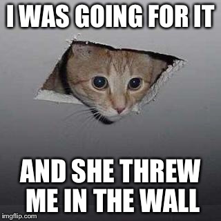 Ceiling Cat Meme | I WAS GOING FOR IT; AND SHE THREW ME IN THE WALL | image tagged in memes,ceiling cat | made w/ Imgflip meme maker