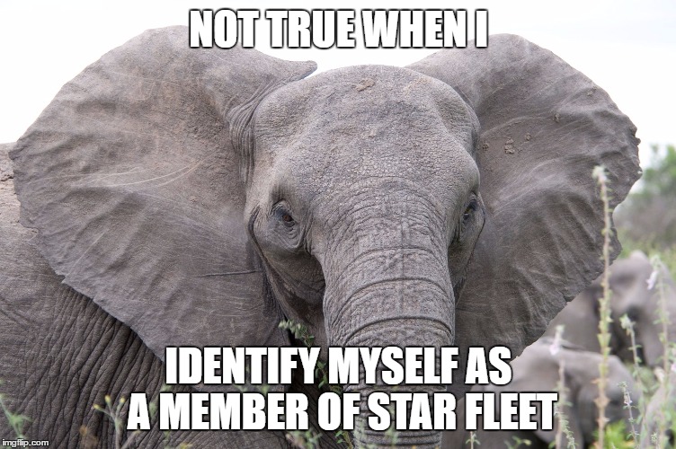 NOT TRUE WHEN I IDENTIFY MYSELF AS A MEMBER OF STAR FLEET | image tagged in elephant | made w/ Imgflip meme maker
