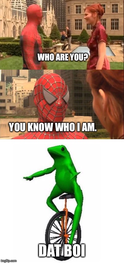 Spider-man here come dat boi | WHO ARE YOU? YOU KNOW WHO I AM. DAT BOI | image tagged in dat boi | made w/ Imgflip meme maker