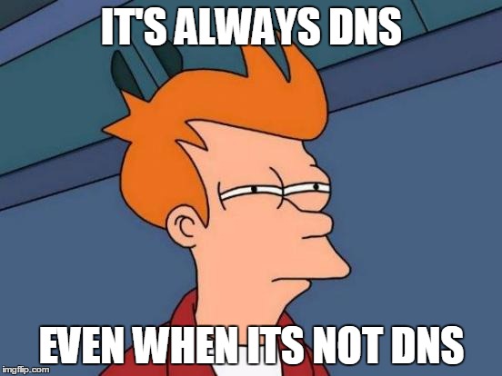 Futurama Fry Meme | IT'S ALWAYS DNS; EVEN WHEN ITS NOT DNS | image tagged in memes,futurama fry | made w/ Imgflip meme maker