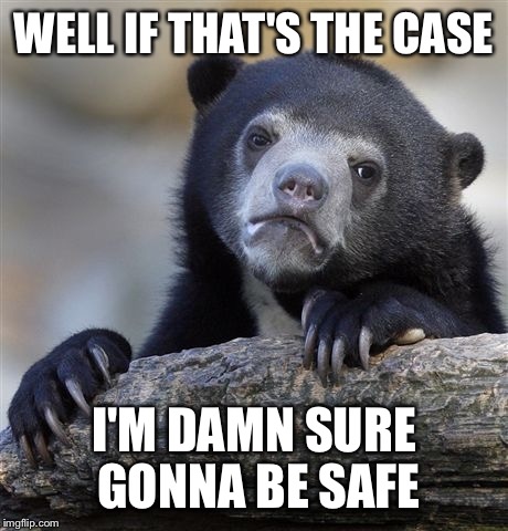 Confession Bear Meme | WELL IF THAT'S THE CASE I'M DAMN SURE GONNA BE SAFE | image tagged in memes,confession bear | made w/ Imgflip meme maker