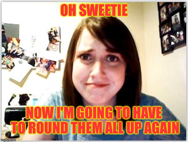 OH SWEETIE NOW I'M GOING TO HAVE TO ROUND THEM ALL UP AGAIN | made w/ Imgflip meme maker