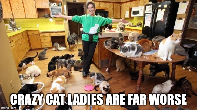 CRAZY CAT LADIES ARE FAR WORSE | made w/ Imgflip meme maker