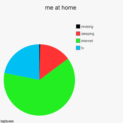 image tagged in funny,pie charts | made w/ Imgflip chart maker