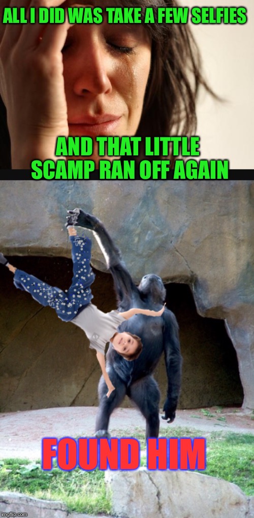 Meanwhile at the zoo |  ALL I DID WAS TAKE A FEW SELFIES; AND THAT LITTLE SCAMP RAN OFF AGAIN; FOUND HIM | image tagged in memes,gorilla,first world problems,kids today,lemme take a selfie | made w/ Imgflip meme maker