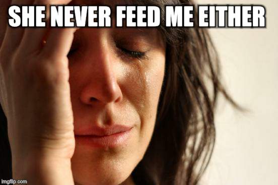 First World Problems Meme | SHE NEVER FEED ME EITHER | image tagged in memes,first world problems | made w/ Imgflip meme maker