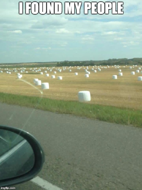 Field of marshmellows | I FOUND MY PEOPLE | image tagged in field of marshmellows | made w/ Imgflip meme maker