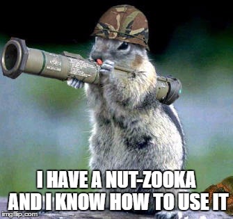 you know your in a LOT of trouble when the squirrel's retaliate  | I HAVE A NUT-ZOOKA AND I KNOW HOW TO USE IT | image tagged in memes,bazooka squirrel | made w/ Imgflip meme maker