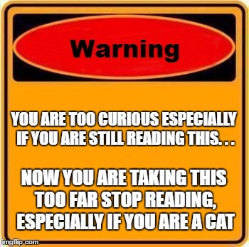 Warning Sign Meme | YOU ARE TOO CURIOUS ESPECIALLY IF YOU ARE STILL READING THIS. . . NOW YOU ARE TAKING THIS TOO FAR STOP READING, ESPECIALLY IF YOU ARE A CAT | image tagged in memes,warning sign | made w/ Imgflip meme maker