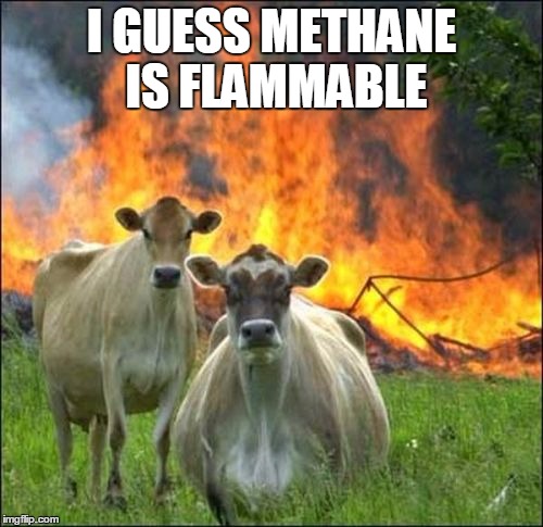 Evil Cows Meme | I GUESS METHANE IS FLAMMABLE | image tagged in memes,evil cows | made w/ Imgflip meme maker