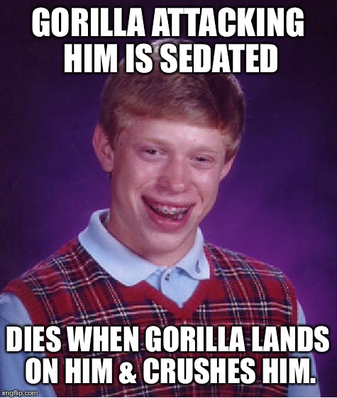 Bad Luck Brian Meme | GORILLA ATTACKING HIM IS SEDATED DIES WHEN GORILLA LANDS ON HIM & CRUSHES HIM. | image tagged in memes,bad luck brian | made w/ Imgflip meme maker