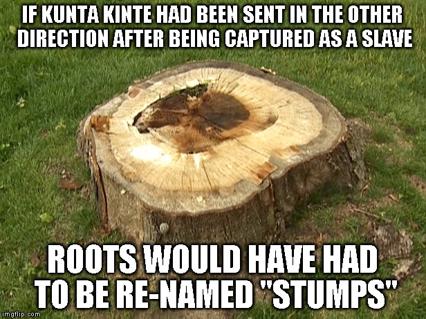 stump | IF KUNTA KINTE HAD BEEN SENT IN THE OTHER DIRECTION AFTER BEING CAPTURED AS A SLAVE; ROOTS WOULD HAVE HAD TO BE RE-NAMED "STUMPS" | image tagged in stump | made w/ Imgflip meme maker