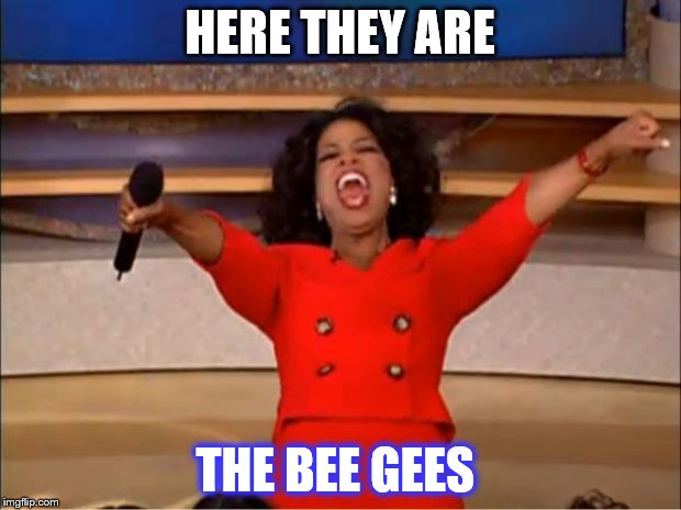 Oprah You Get A | HERE THEY ARE; THE BEE GEES | image tagged in memes,oprah you get a | made w/ Imgflip meme maker