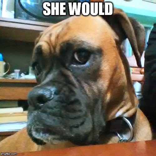 SHE WOULD | made w/ Imgflip meme maker
