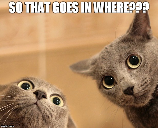 cats | SO THAT GOES IN WHERE??? | image tagged in scared cat | made w/ Imgflip meme maker