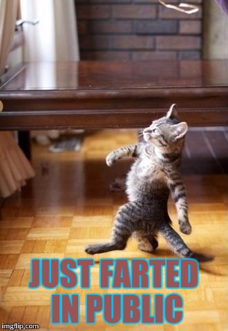 Cool Cat Stroll | JUST FARTED IN PUBLIC | image tagged in memes,cool cat stroll | made w/ Imgflip meme maker