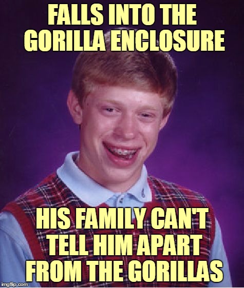 Bad Luck Brian Meme | FALLS INTO THE GORILLA ENCLOSURE HIS FAMILY CAN'T TELL HIM APART FROM THE GORILLAS | image tagged in memes,bad luck brian | made w/ Imgflip meme maker