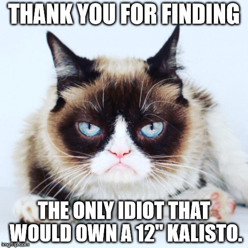 THANK YOU FOR FINDING; THE ONLY IDIOT THAT WOULD OWN A 12" KALISTO. | made w/ Imgflip meme maker