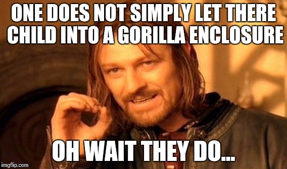 One Does Not Simply Meme | ONE DOES NOT SIMPLY LET THERE CHILD INTO A GORILLA ENCLOSURE; OH WAIT THEY DO... | image tagged in memes,one does not simply | made w/ Imgflip meme maker