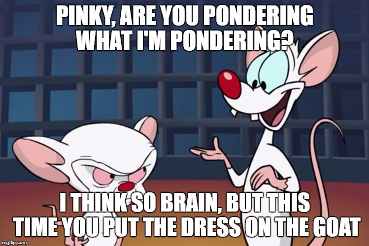 PINKY, ARE YOU PONDERING WHAT I'M PONDERING? I THINK SO BRAIN, BUT THIS TIME YOU PUT THE DRESS ON THE GOAT | image tagged in pinky and the brain | made w/ Imgflip meme maker