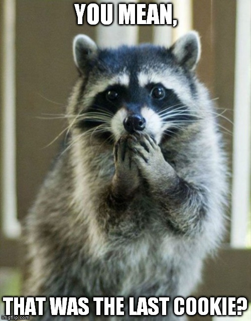 RacOOPs | YOU MEAN, THAT WAS THE LAST COOKIE? | image tagged in racoon | made w/ Imgflip meme maker