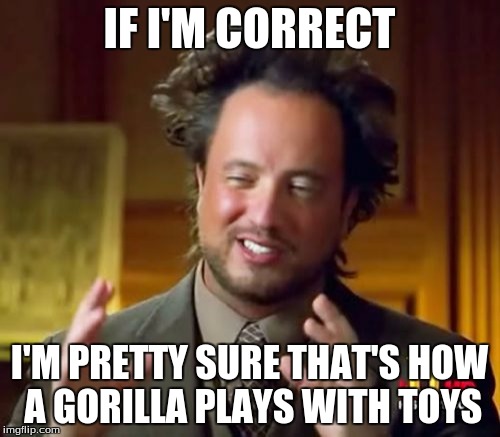 Ancient Aliens Meme | IF I'M CORRECT I'M PRETTY SURE THAT'S HOW A GORILLA PLAYS WITH TOYS | image tagged in memes,ancient aliens | made w/ Imgflip meme maker