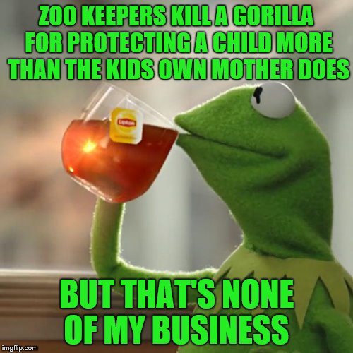 But That's None Of My Business | ZOO KEEPERS KILL A GORILLA FOR PROTECTING A CHILD MORE THAN THE KIDS OWN MOTHER DOES; BUT THAT'S NONE OF MY BUSINESS | image tagged in memes,but thats none of my business,kermit the frog | made w/ Imgflip meme maker